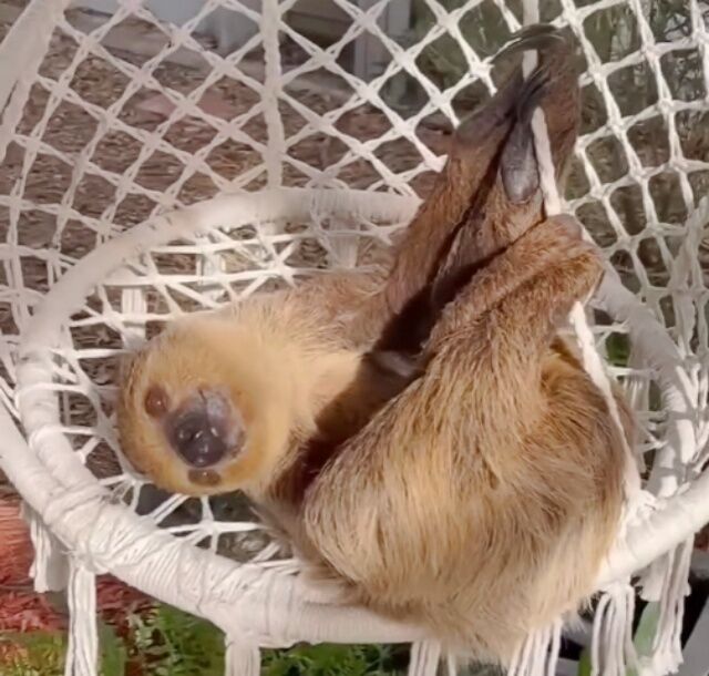 20230223_114537 (2)_batch