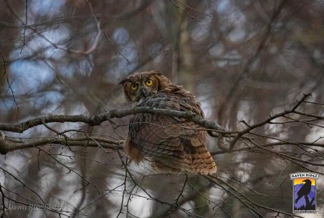 417843208_785879733575371_2419186572142790280_n_e