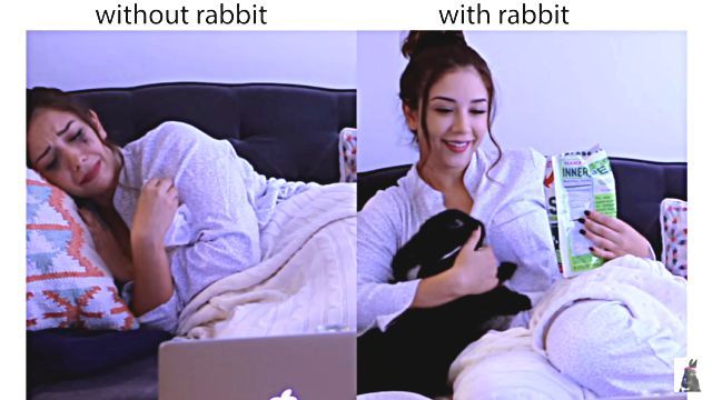 lifewithrabbit0