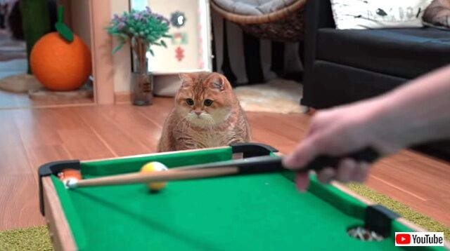 billiards5_640