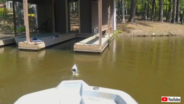 20230708_115529 (2)_batch