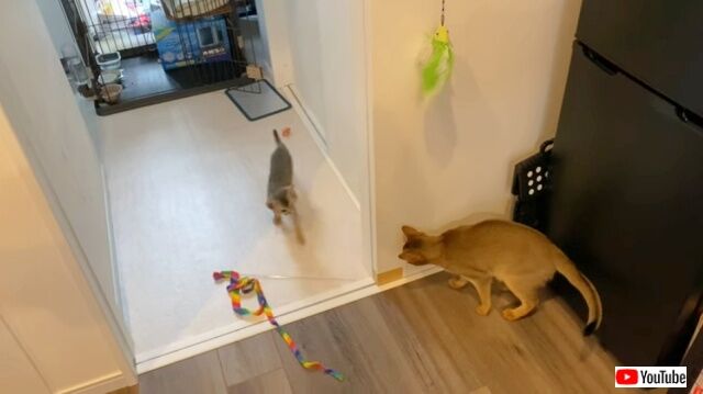 20230110_085507_batch