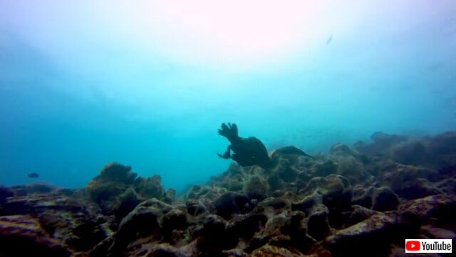 20220409_072035 (4)_batch