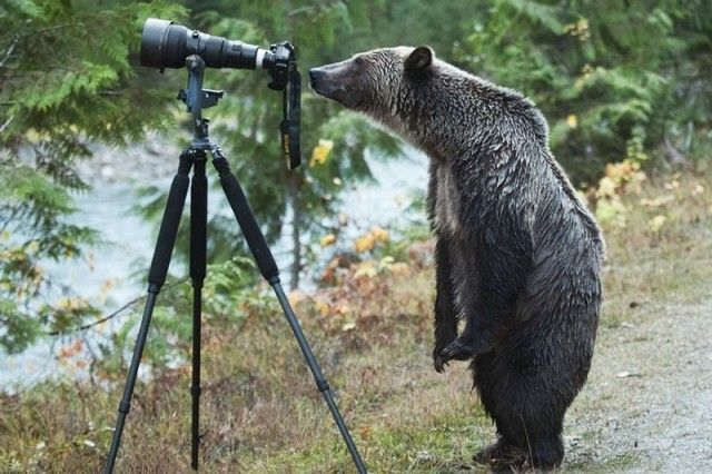 photographers4_e