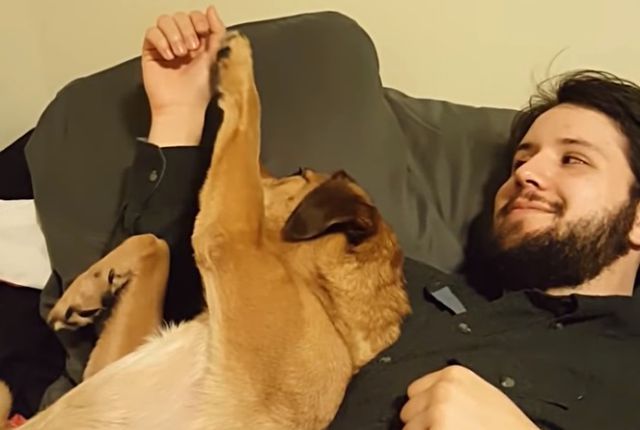 bestpet201808w1-4