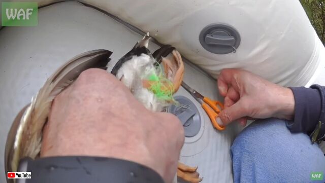 20221110_195126_batch