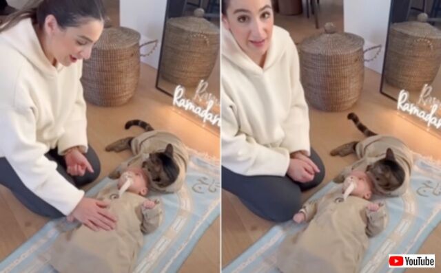 20240318_010750_batch