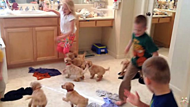 9puppies4