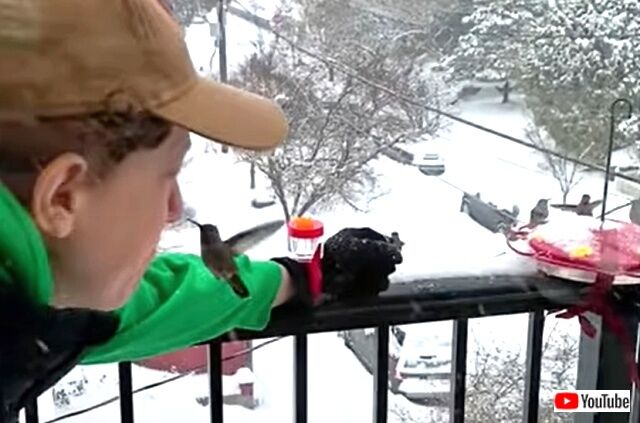 bestpets20210511_2_640