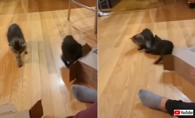 20220827_195305_batch