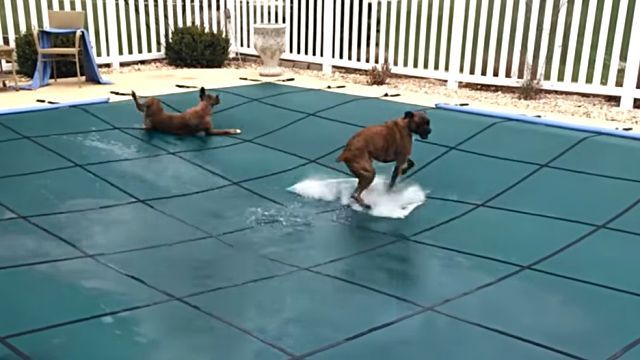 poolcover2