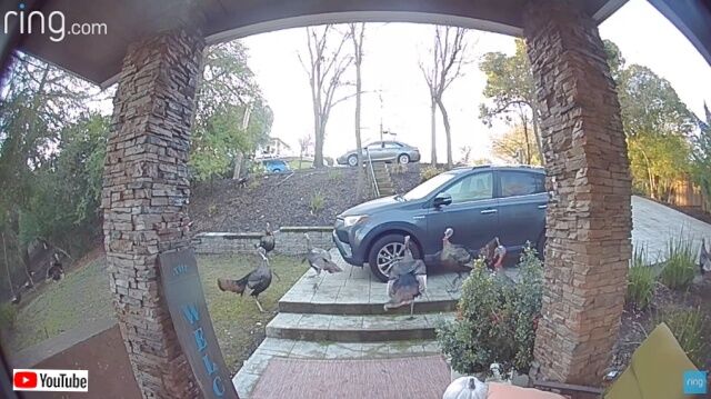 20230331_181939 (2)_batch