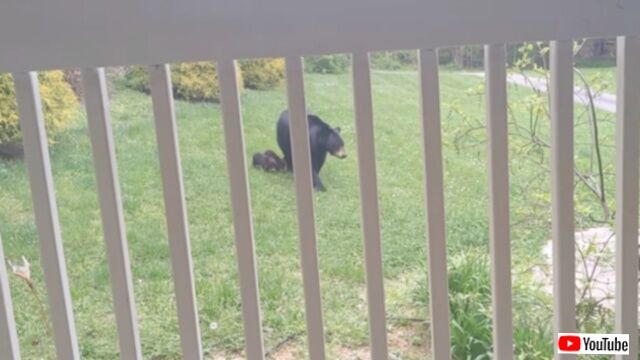 20230429_170105_batch