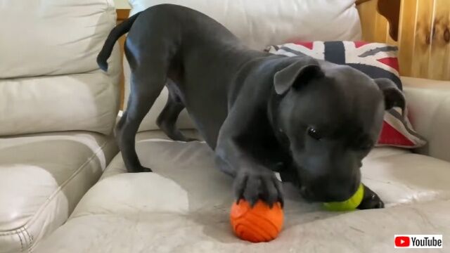 20220809_044102 (3)_batch