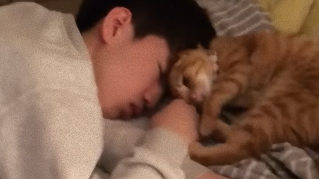 sleepy-2_e
