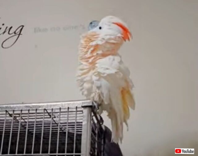 20230925_050957_batch