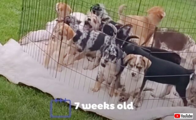 20221210_164630 (5)_batch