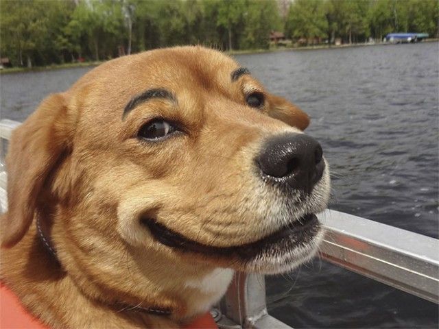 eyebrows2_e