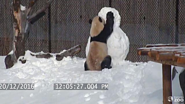 snowman2
