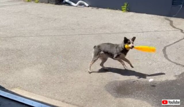 20220522_045718 (2)_batch