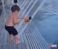 gif (3)