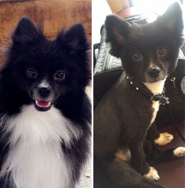 beforeafter16_e
