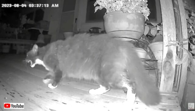 20230814_034853 (4)_batch