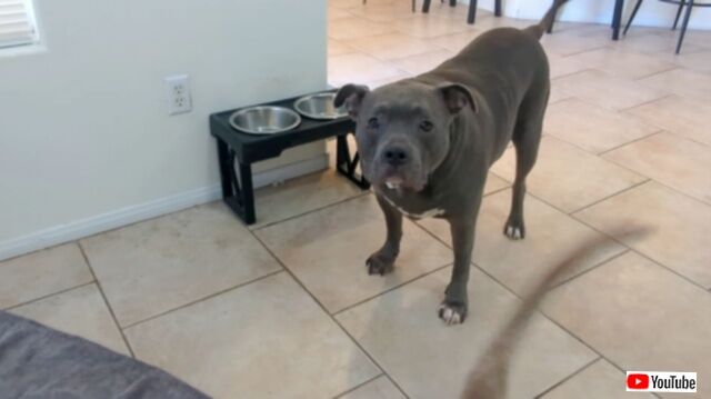 20231220_115932 (5)_batch