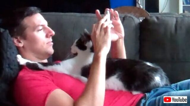 howtowalkurhuman14_640