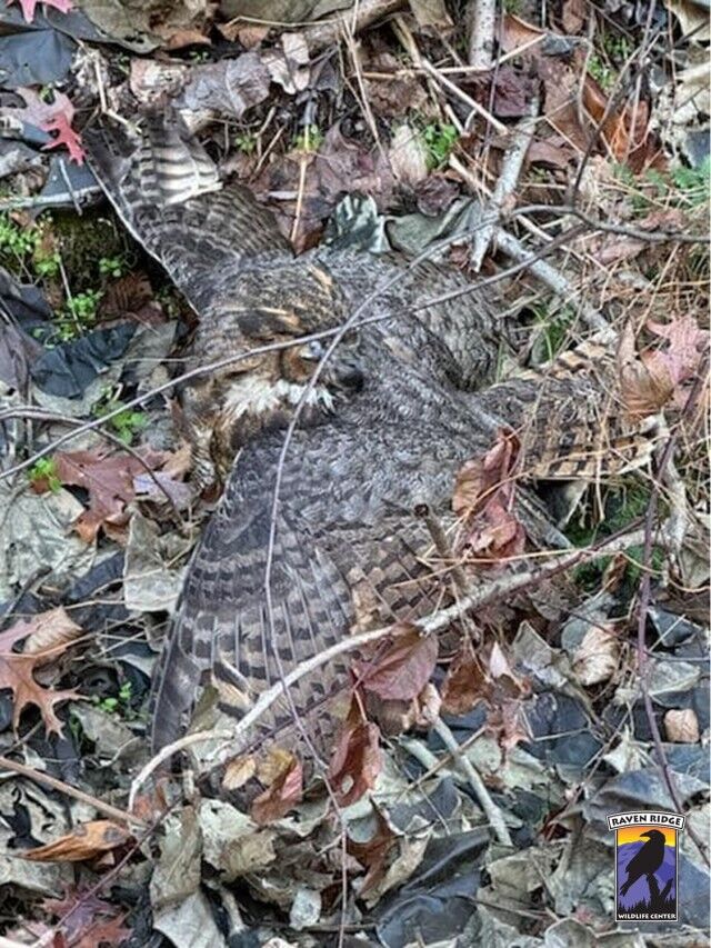 407301663_763099439186734_1860657912232373082_n_e