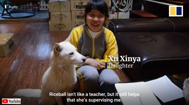 riceball5_640