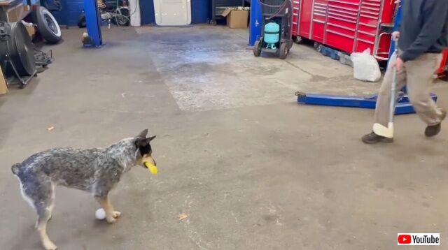 20221104_050323 (3)_batch