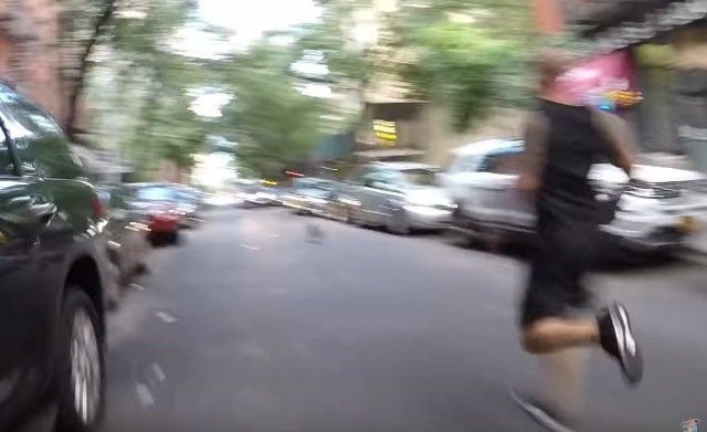 runnawaydog12_e