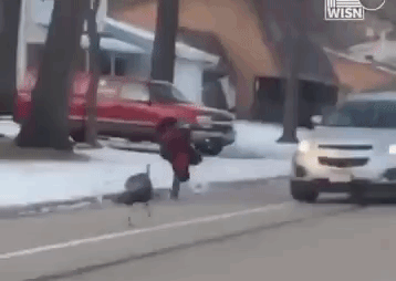 turkey