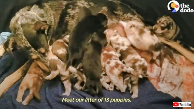 20221210_164630_batch_batch