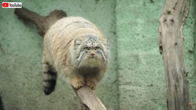 20230828_012411 (6)_batch