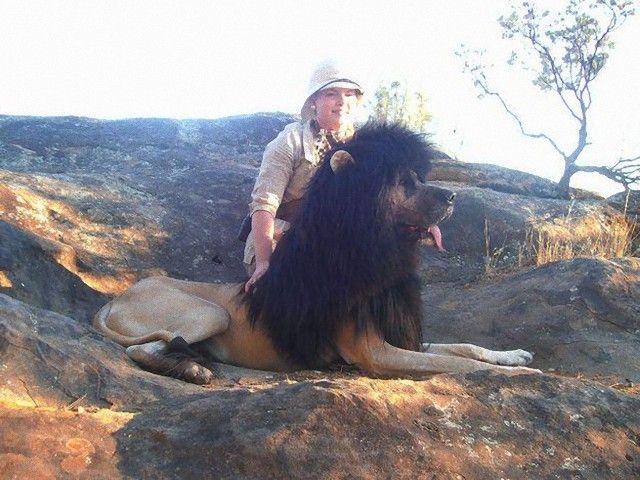 Lion_e
