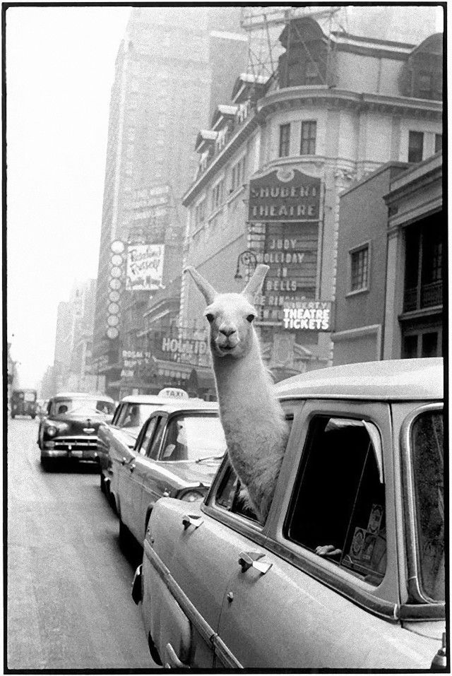 vintagephoto4_e