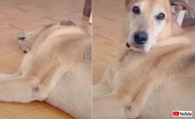 20230503_173523_batch