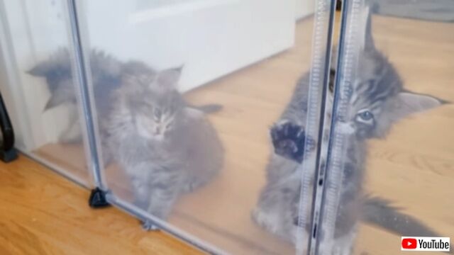 20230613_195807 (3)_batch