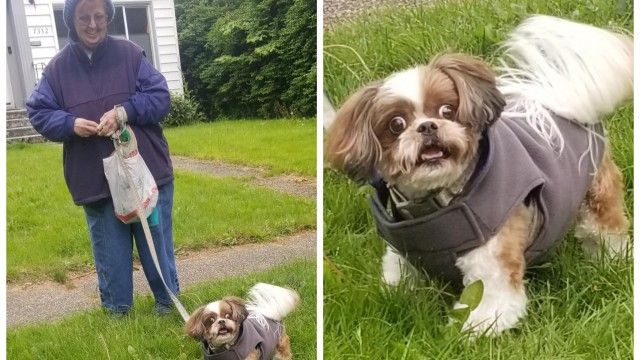 トリマーの女性が休日に、お気に入りの犬が散歩をしているところに遭遇。その時の犬の反応が面白。