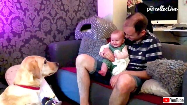 babieslaughing1-01