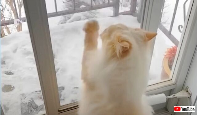 20230312_185942_batch