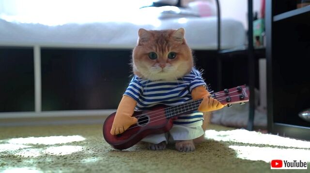 guitar3_640