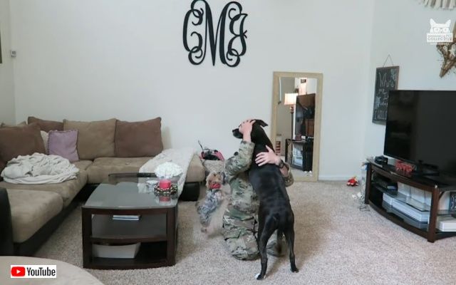 bestpet_may2019_2_batch
