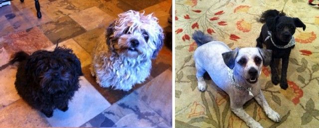 beforeafter26_e_e
