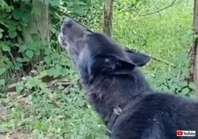 20230419_195250 (2)_batch