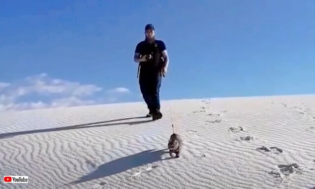 20230128_194141 (7)_batch