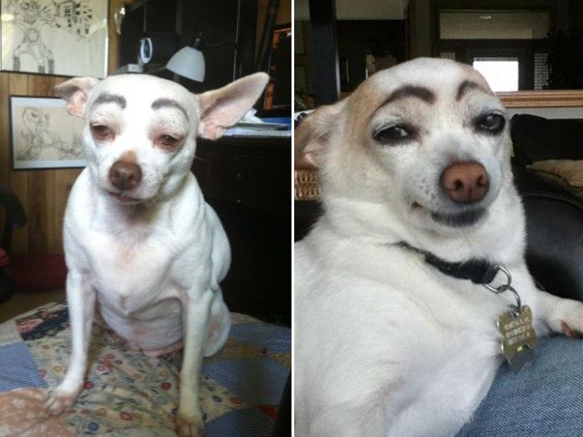 eyebrows1_e