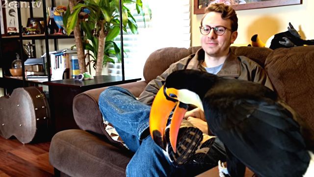 toucan3